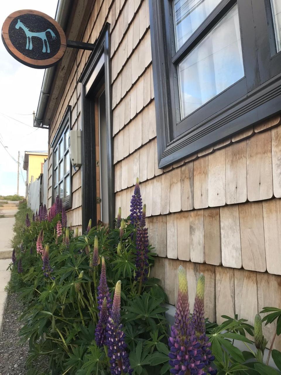 El Establo Hotel Puerto Natales Bagian luar foto